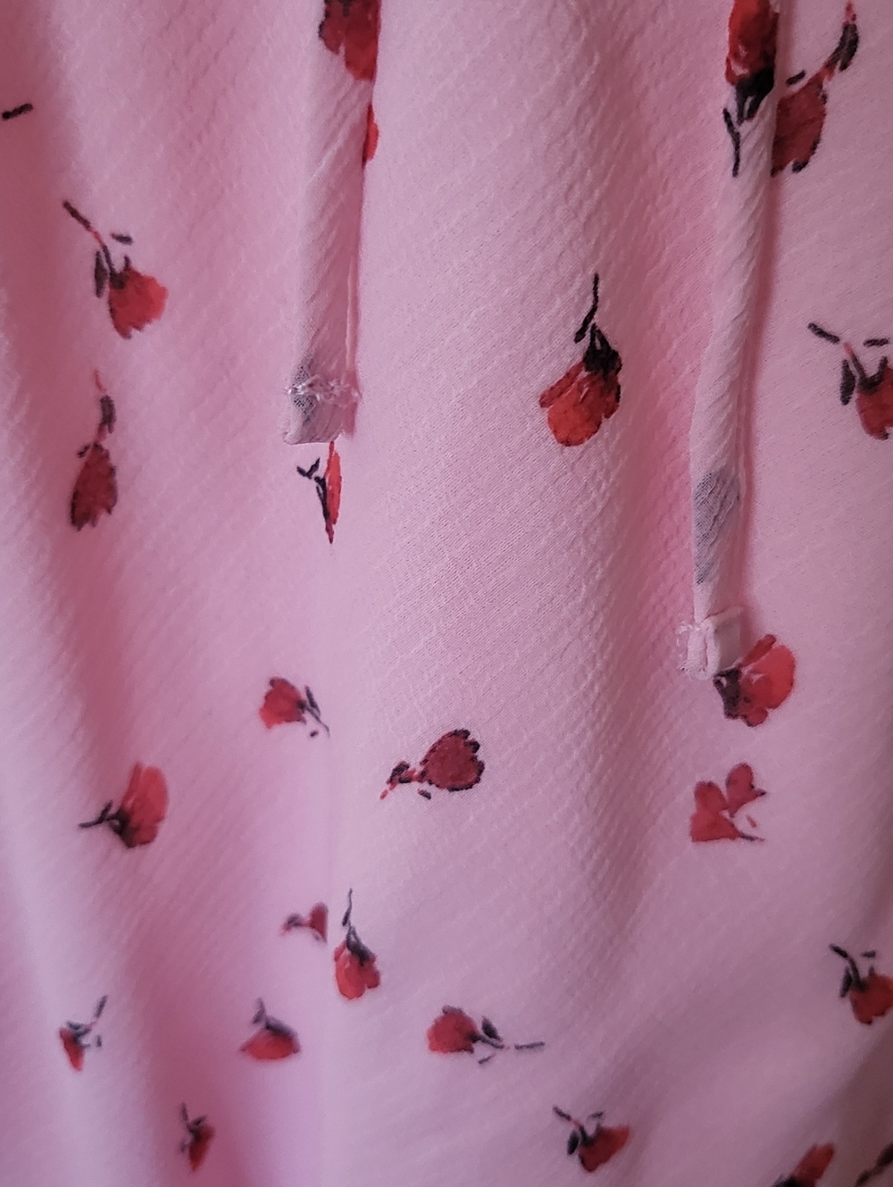 No Bounderies - Picture 5 of 5